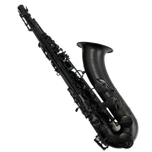 Selmer supreme 2025 - h.selmer,